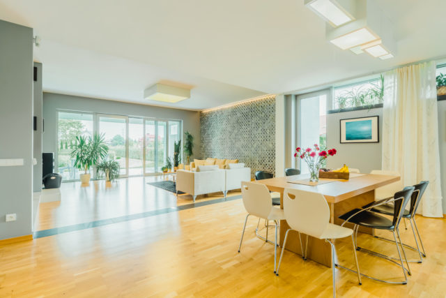 Open home concept, spacious room, modern home